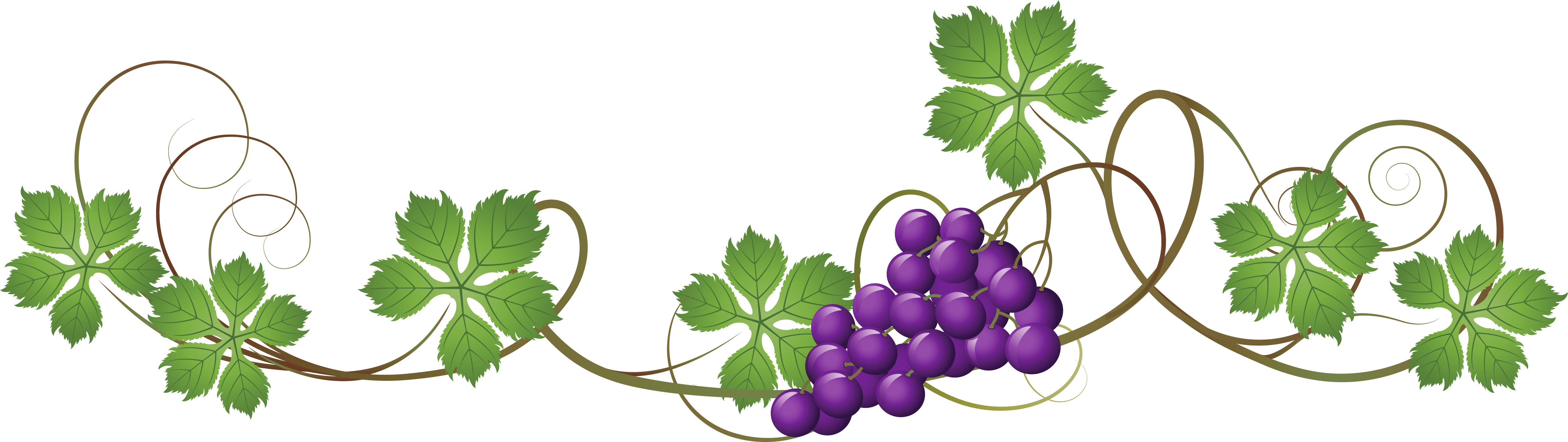 Floral Vines Png - Uvas De Primera Comunion (5130x1608), Png Download