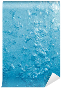 Photograph (400x400), Png Download