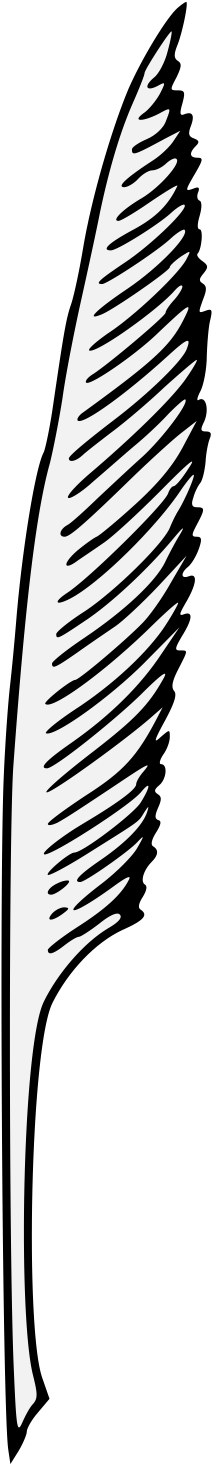 Details, Png - Illustration (337x1480), Png Download