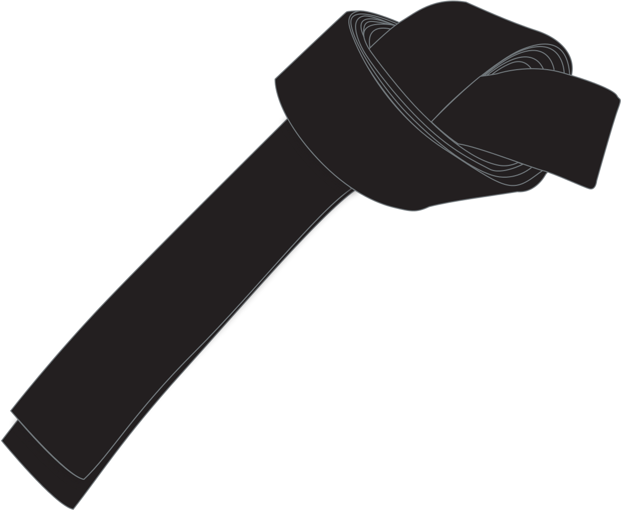 Martial Arts Black Belt Alt - Black Belt Png (1240x1024), Png Download