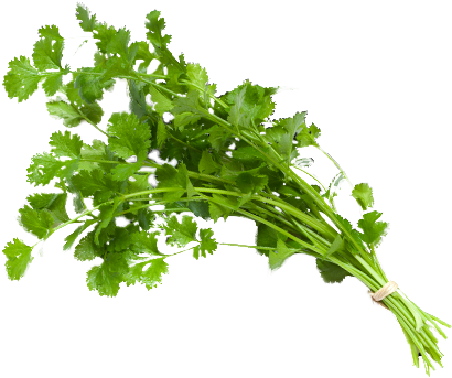 Type 1 Diabetes How To Get Rid Of Type 2 Diabetes,american - Personalised Gifts Shop My Soulmate Engraved Square (444x368), Png Download