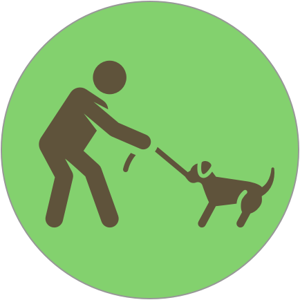 Charleston Dog Training Training Services Not Listening - Dog (434x434), Png Download