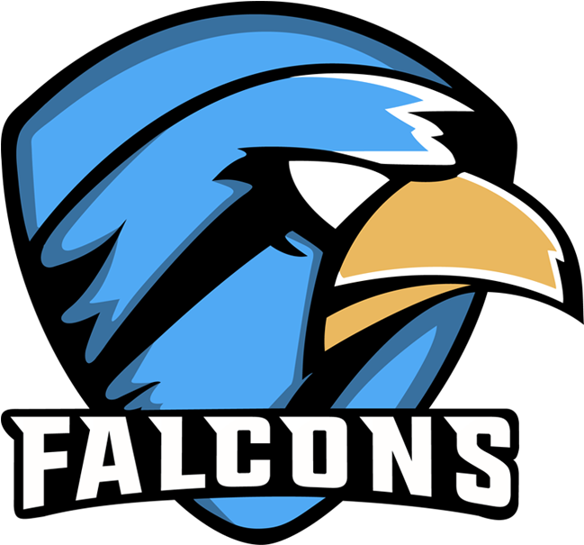 Toxic Falcons (660x660), Png Download