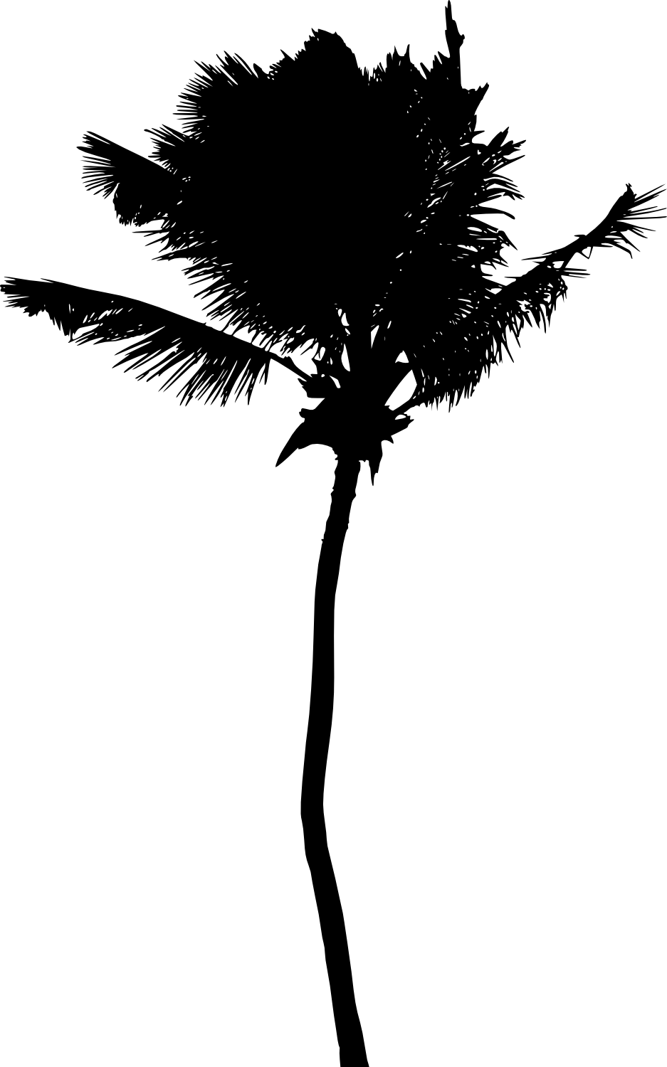 Free Download - Portable Network Graphics (937x1500), Png Download