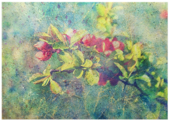 Grunge Messy Watercolor Splashes And Branch With Red - Watercolor Painting (400x400), Png Download