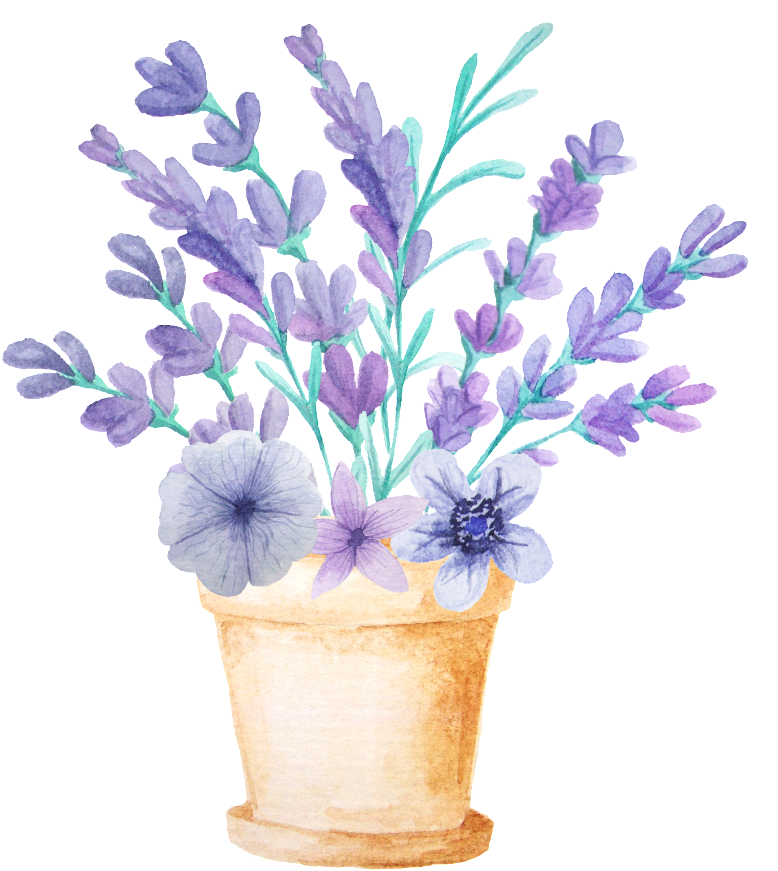 Flower Planting Transparent Decorative - 手繪 薰衣草 (1024x1280), Png Download