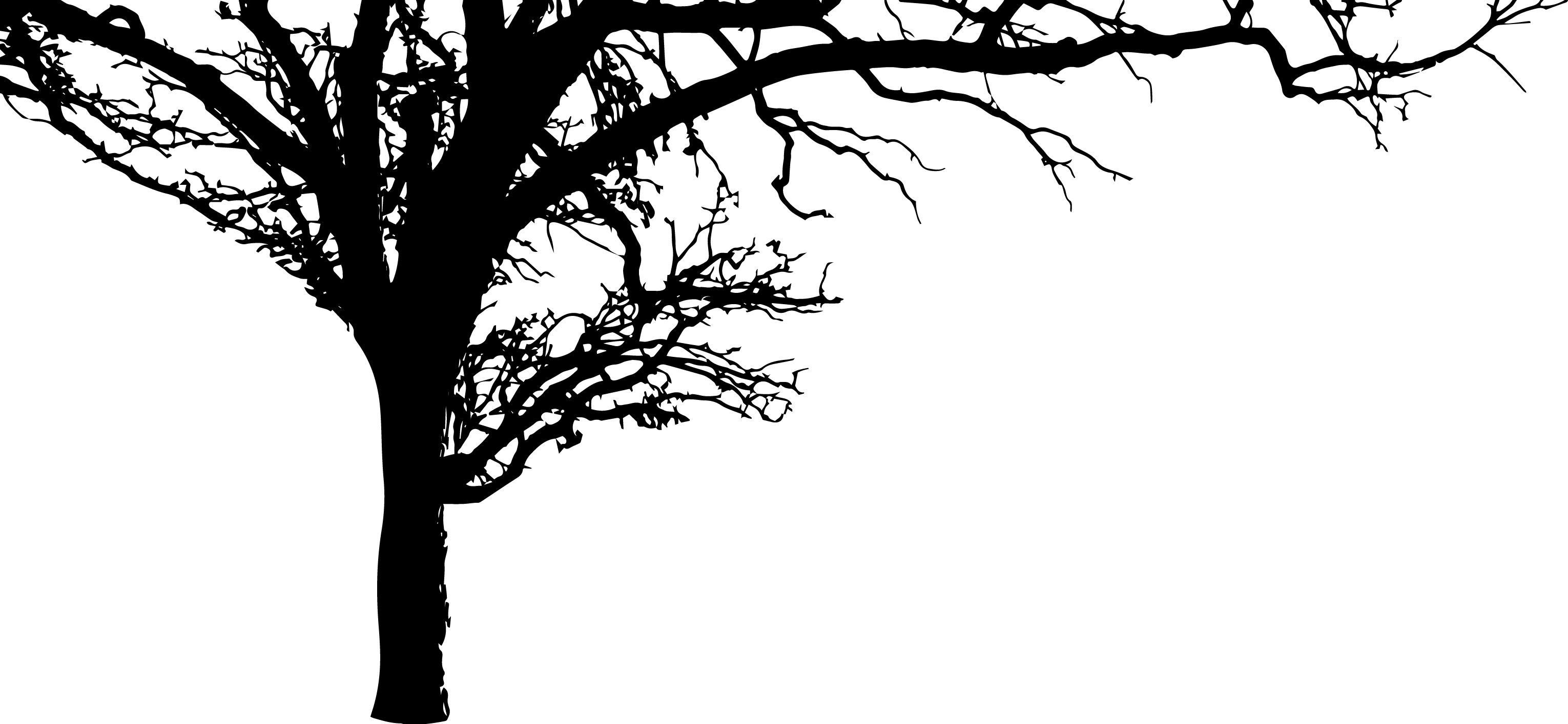 300 - Silhouette (3060x1414), Png Download