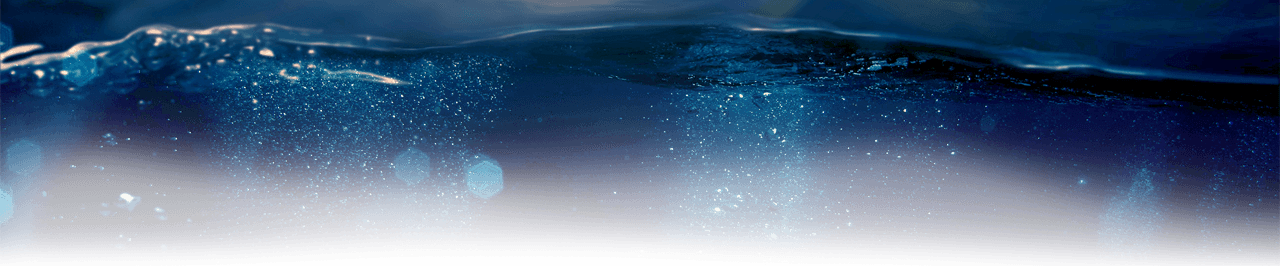 What People Are Saying About Us - Underwater (1280x266), Png Download