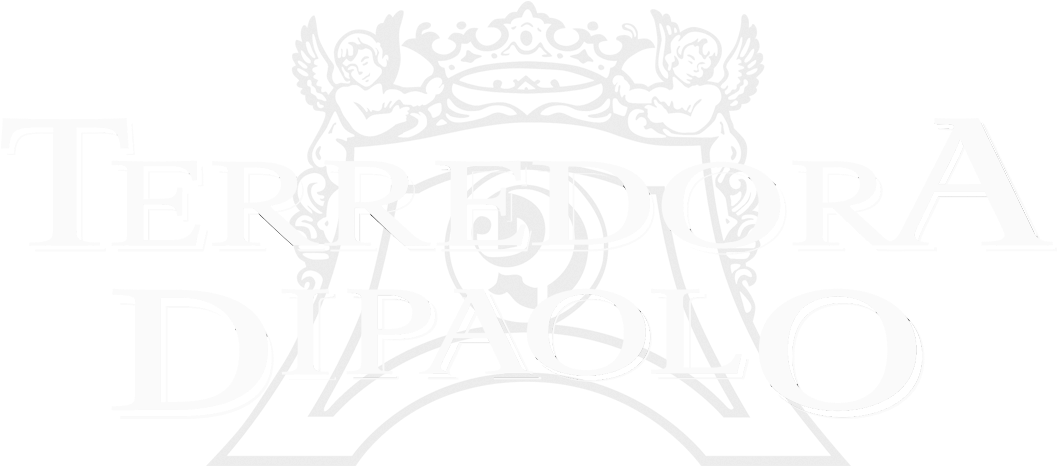 Logo - “ - Capital University (1063x827), Png Download