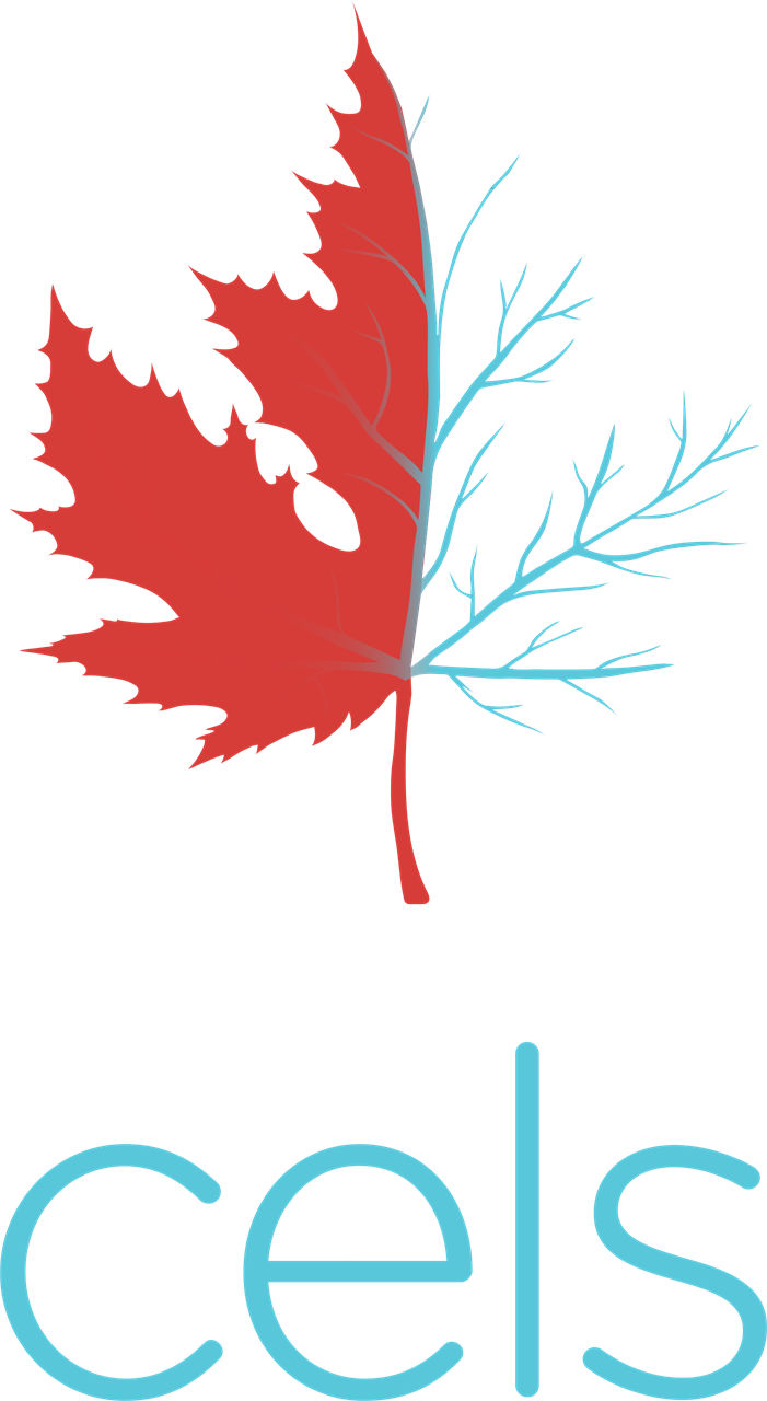 Vector Maple Leaf Silhouette (701x1280), Png Download