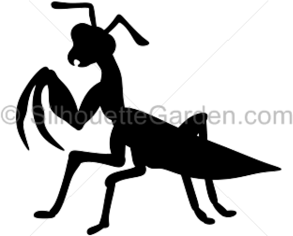 Black And White Mantis Clipart (640x480), Png Download