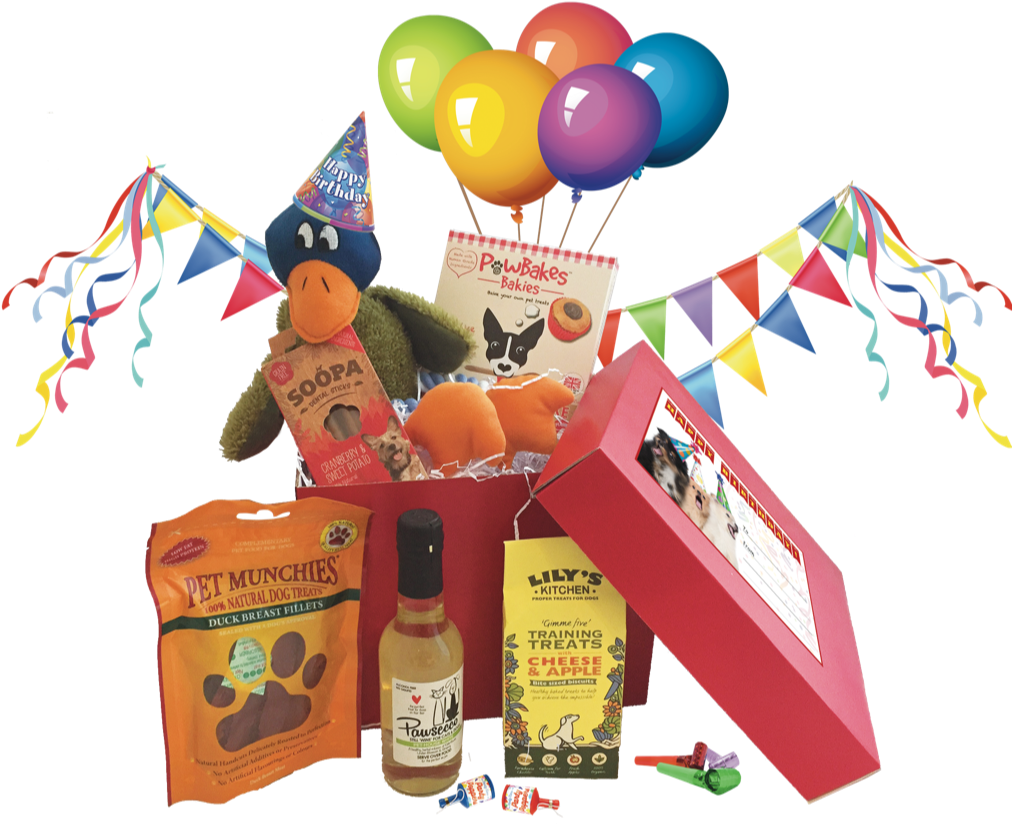 Petshop Postie Birthday Gift Box - Transparent Birthday Clipart (1043x960), Png Download