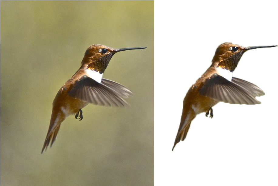 I Will Remove 10 Picture Backgrounds - Ruby-throated Hummingbird (958x612), Png Download