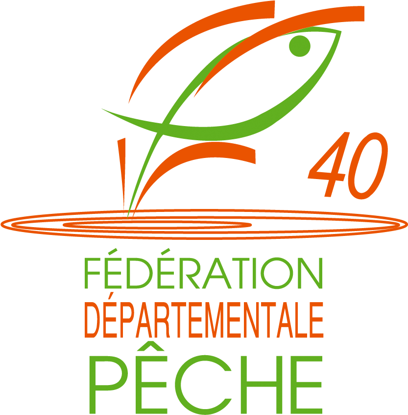 Logo Fd40 Hd Png (904x900), Png Download