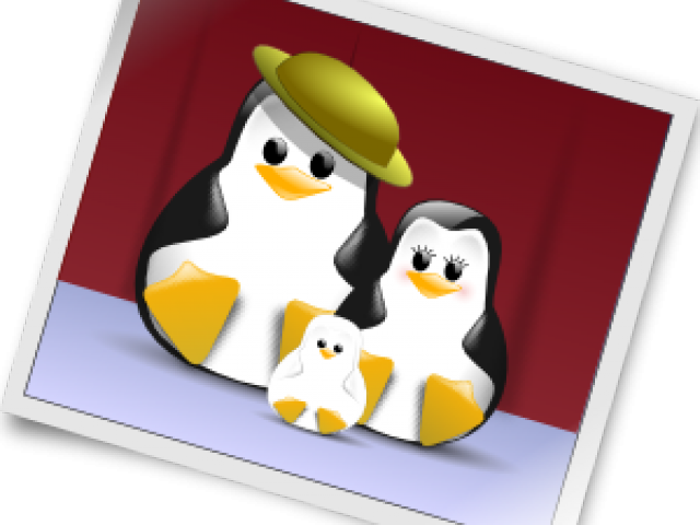 Photography Clipart Photographer - Png Penguin Family (640x480), Png Download