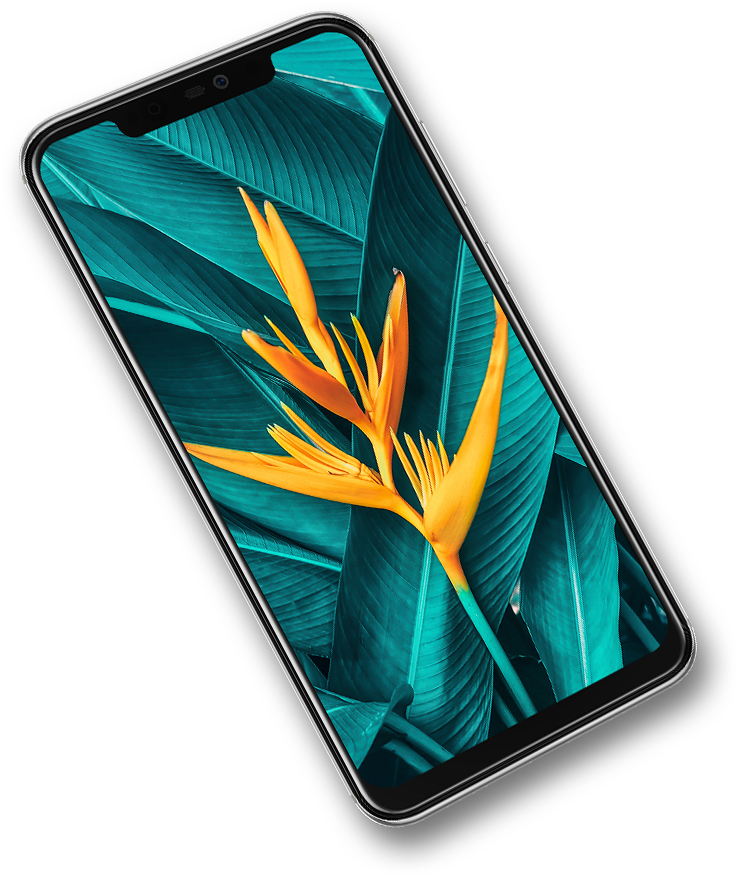 Panasonic Eluga X1 Phone - Smartphone (856x968), Png Download