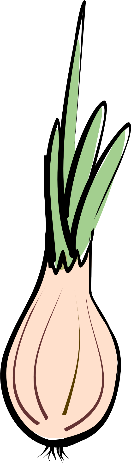 960 X 1920 2 - Chive Vector (960x1920), Png Download