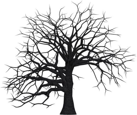 Dead Trees Clip Art (640x480), Png Download