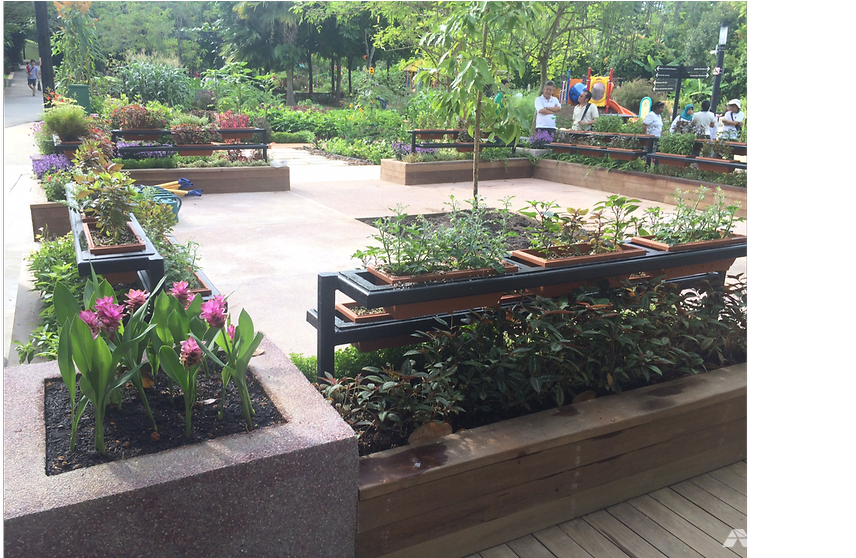 Therapeutic Garden Bishan Park (991x557), Png Download