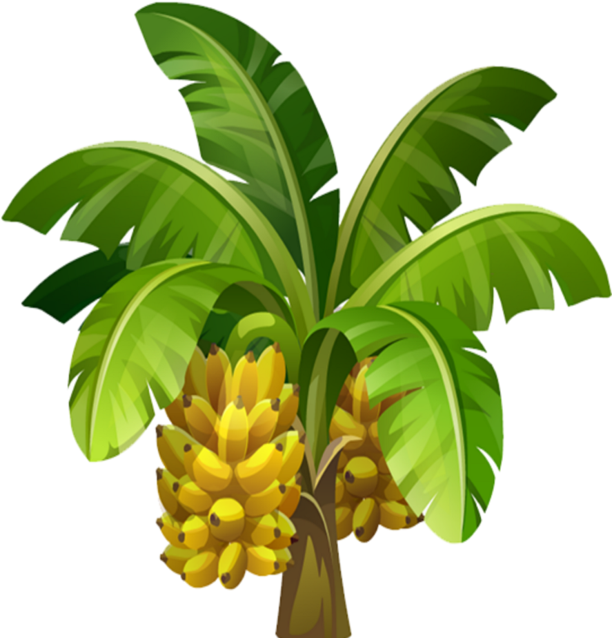 Mq Sticker - Banana Tree Illustration Png (1024x1024), Png Download