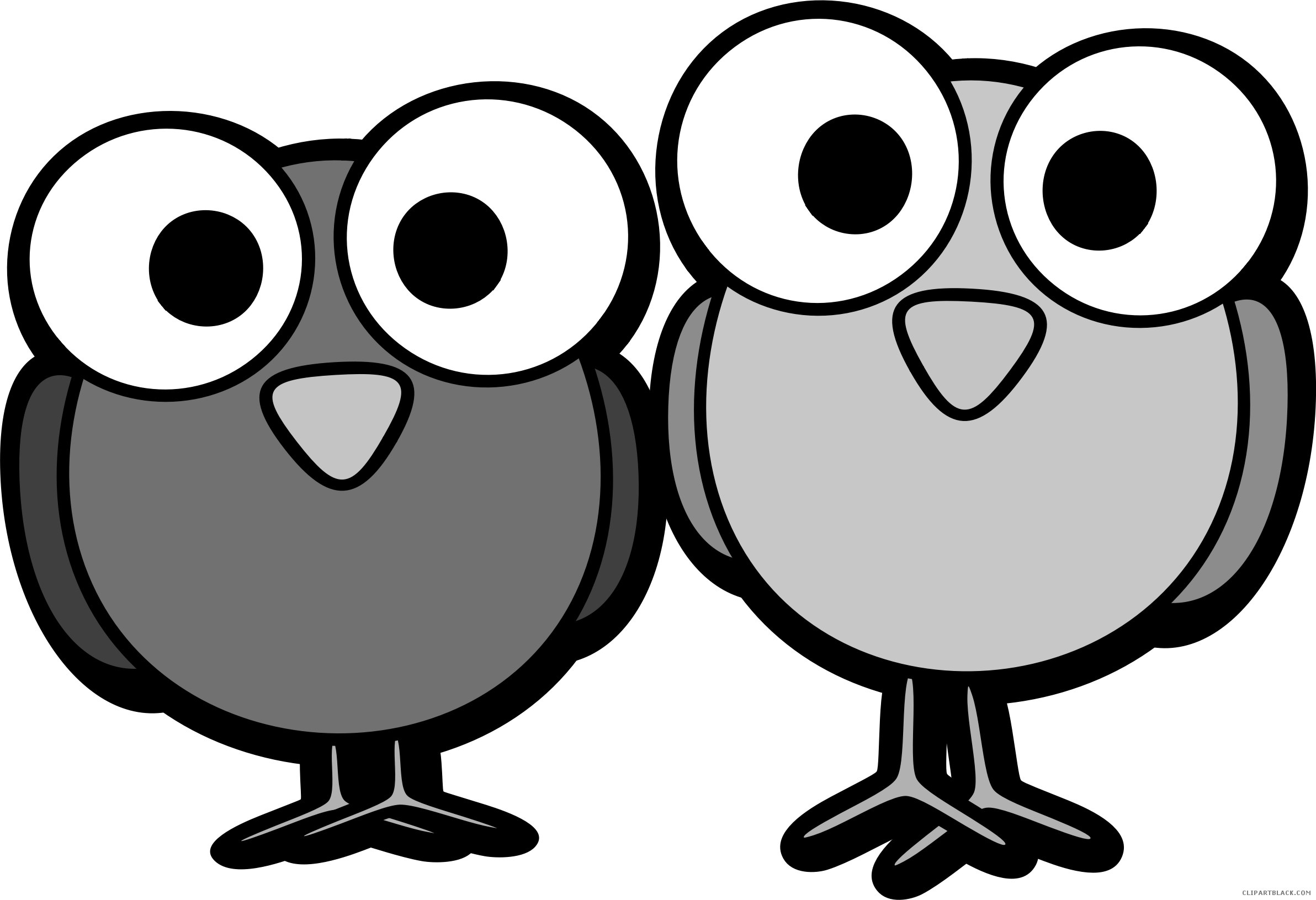 Huge Bird Animal Free Black White Clipart Images Clipartblack - Birds For Drawing Clipart (2384x1631), Png Download