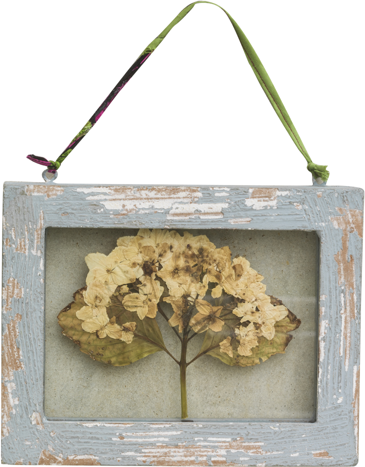 Picture Frame (1024x1024), Png Download