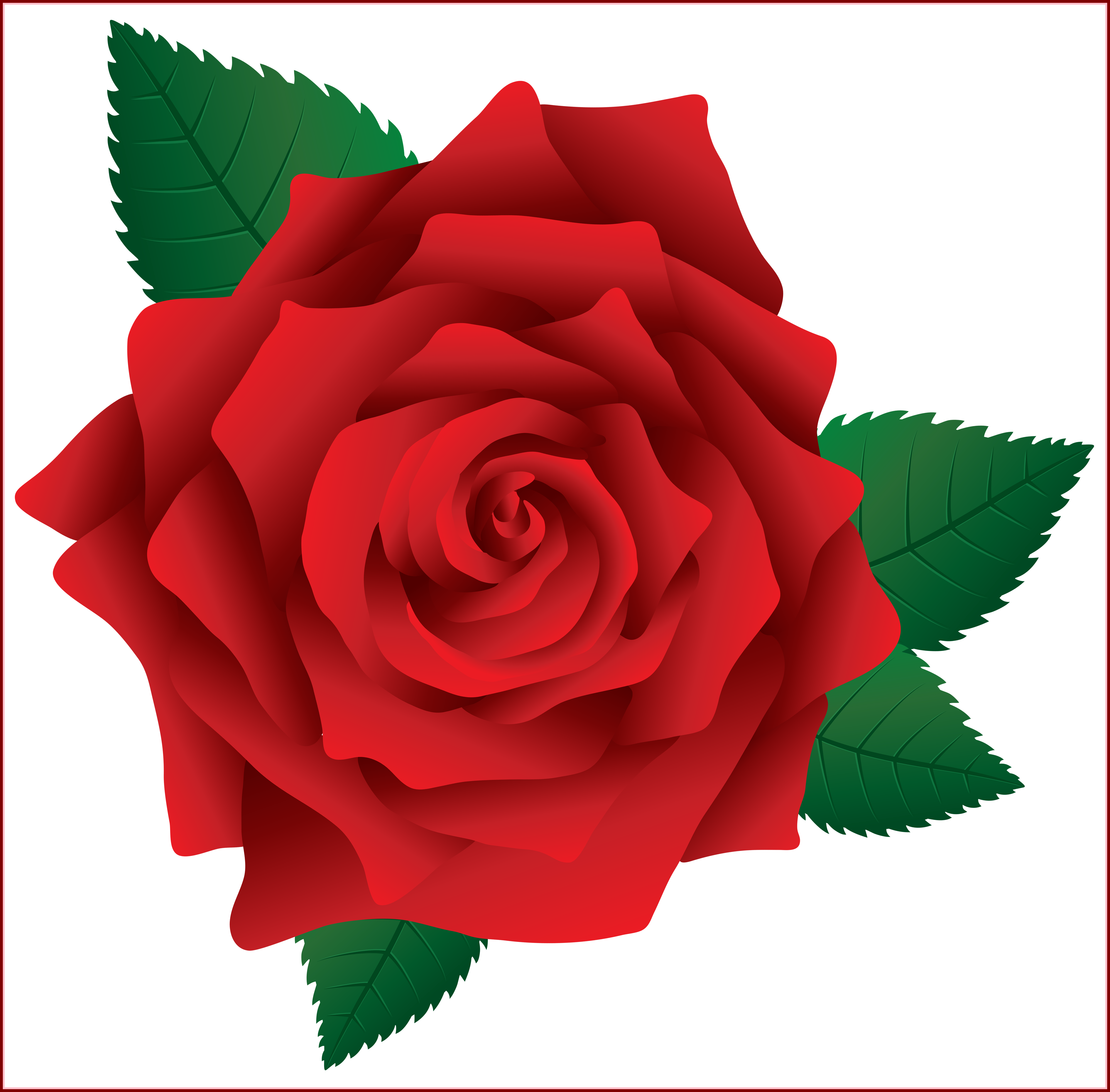 Incredible Clipart And Rose Pict For Red Flower Ideas - Red Rose Clipart Png (6003x5904), Png Download