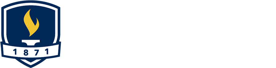 Bethel Seminary Logos - Bethel University (1000x324), Png Download