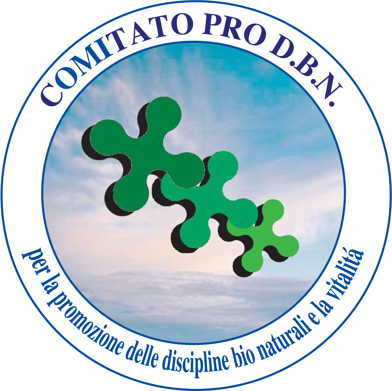 Comitato Pro Dbn - Bricopinturas (1606x1604), Png Download