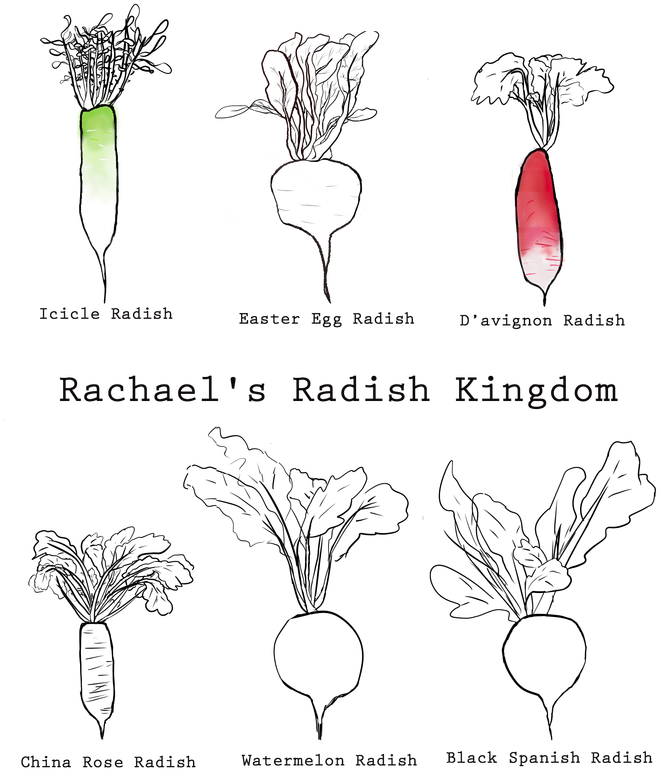 Drawing (711x800), Png Download