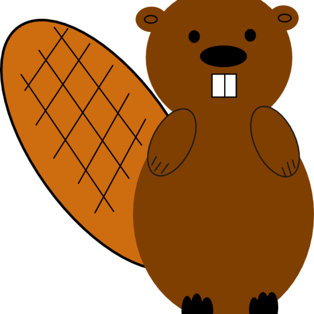 Clipart Beaver Beaver No Smile Clip Art At Clker Vector - Teddy Bear (1024x1024), Png Download