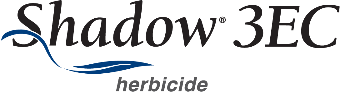 Graphic Design (1088x296), Png Download