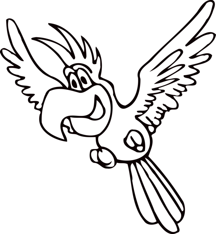 Amazon Parrot Beak Drawing Coloring Book Bird - Papagaio Para Colorir (691x750), Png Download