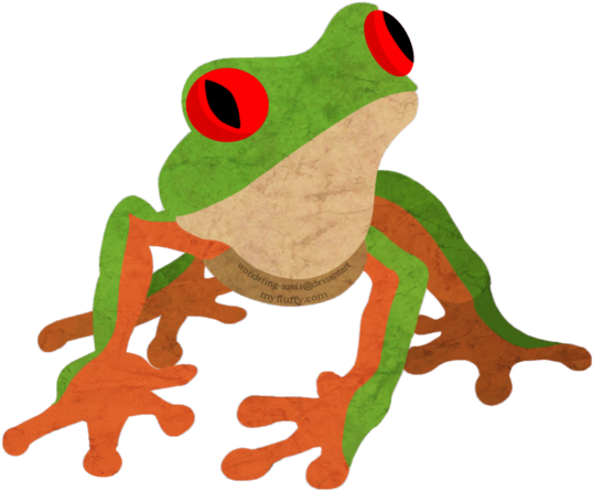 600 X 600 4 - Frog (600x600), Png Download