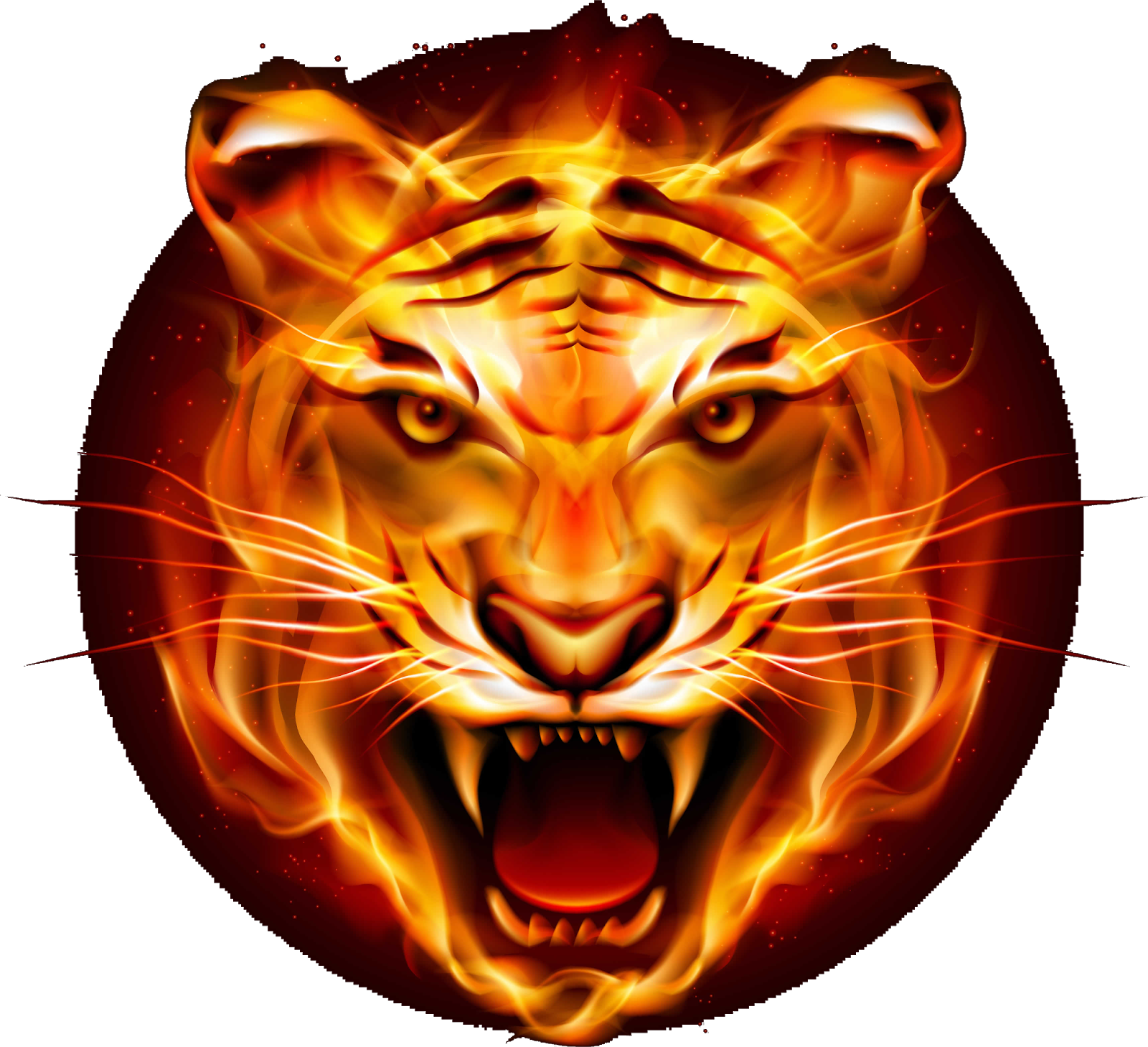 Tiger Light Flame Fire Tiger Free Png Images Free Png Png Picsart Png