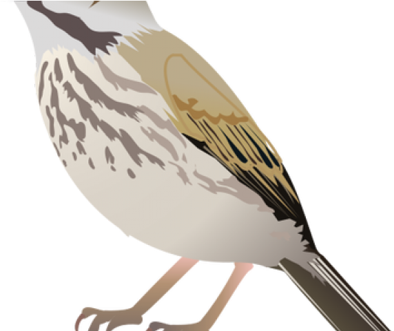 Illustration (640x480), Png Download
