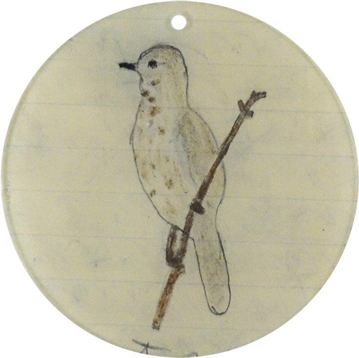 House Sparrow (800x800), Png Download