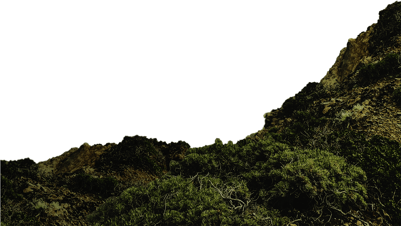 Salvador, Northern Brazil's Most Populous City, Is - God (1280x749), Png Download