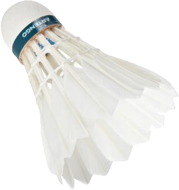 Badminton Png Free Download - Badminton (600x635), Png Download