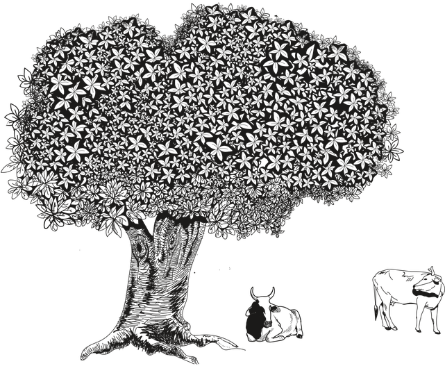 Illustration (640x640), Png Download