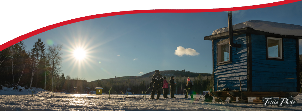 La Pêche Blanche Au Domaine - Snow (1024x379), Png Download