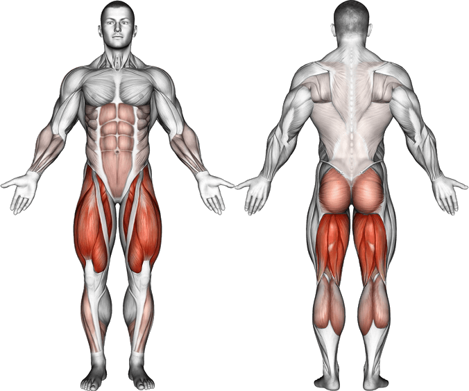 Squat Muscles - Infraspinatus Exercises (676x564), Png Download