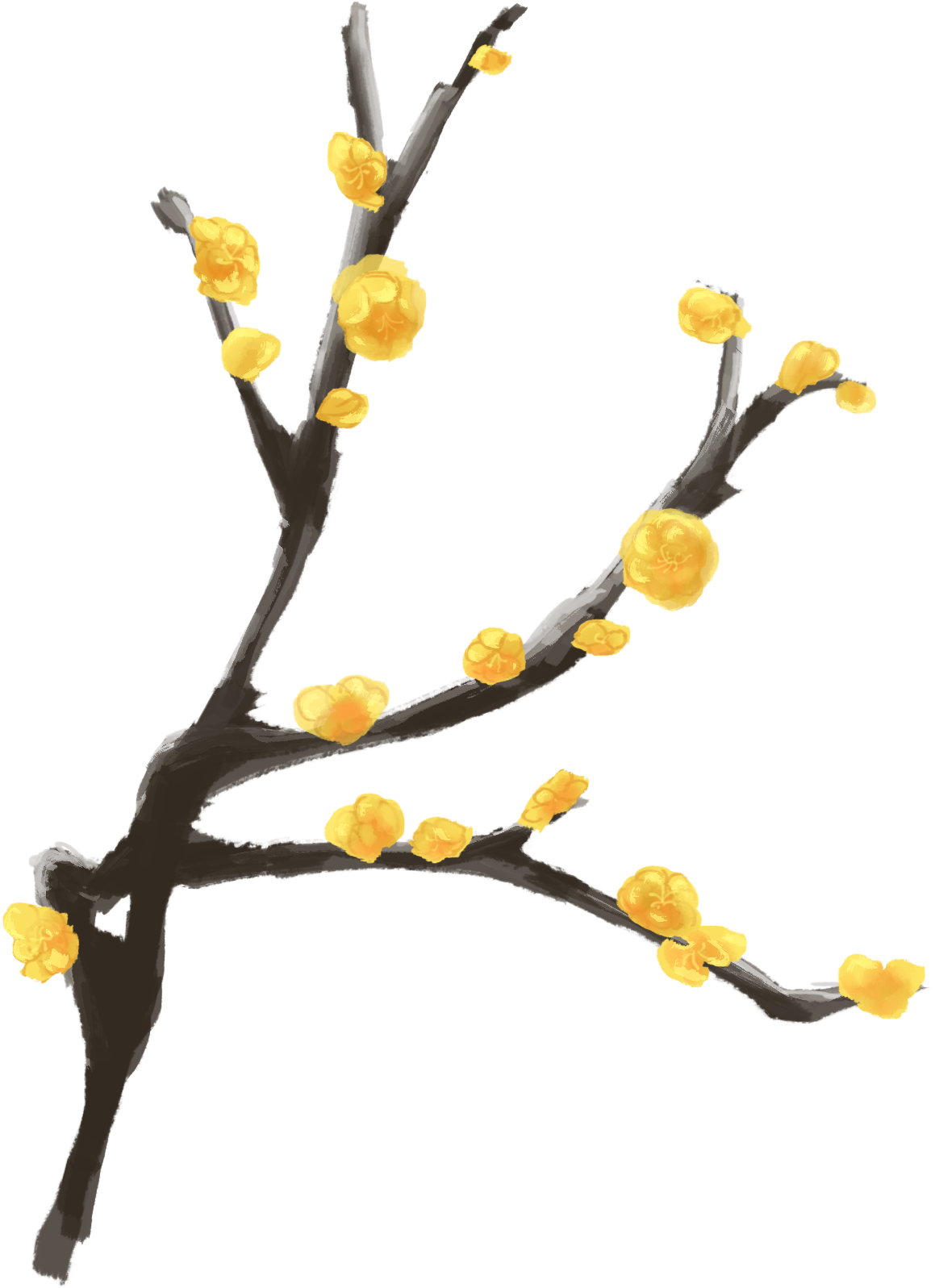 Ink Plum Hand Painted Branch Winter Antique Png And - Twig (2000x2000), Png Download