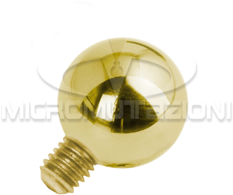 18k Gold Internal Attachment - Brass (750x750), Png Download