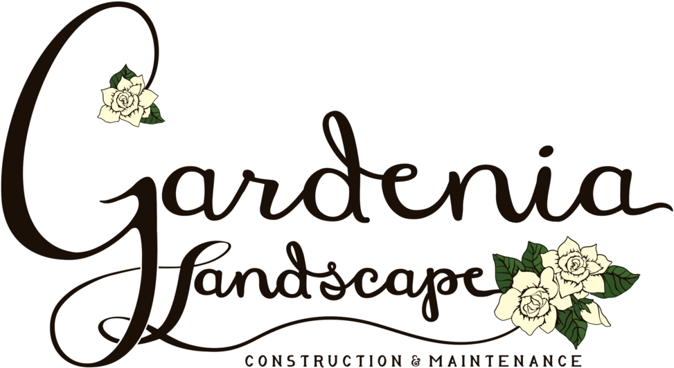 Gardenia Png (1000x551), Png Download