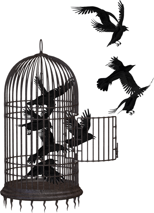 “los Solidarios De La Voz Del Amate” Demand The Return - Libertad Con Responsabilidad (522x720), Png Download