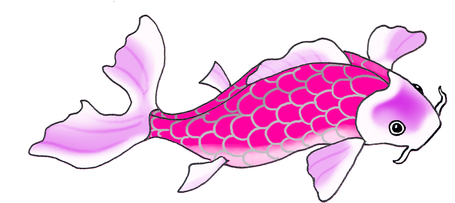 Colorful Koi Drawings Lila Drawing - Koi (1004x532), Png Download