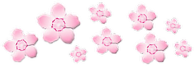 Report Abuse - Flower Crown For Picsart (1024x740), Png Download