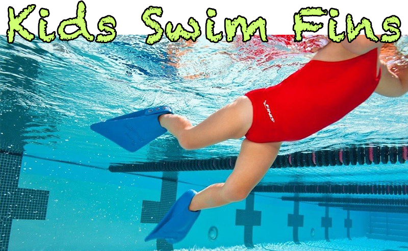 800 X 492 1 - Kids Flippers (800x492), Png Download