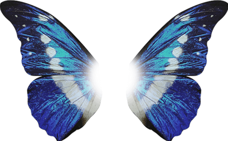 Free To Edit - 光明 女神 蝶 (774x480), Png Download